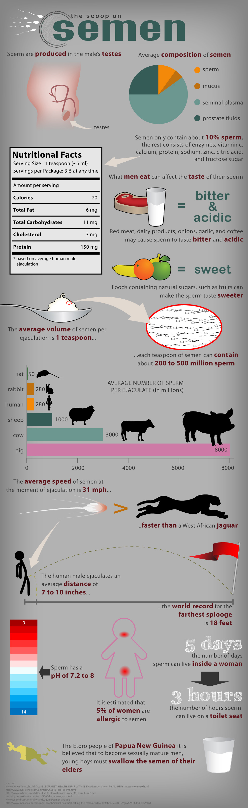 Semen The Facts Including Calories The Luxury Spot