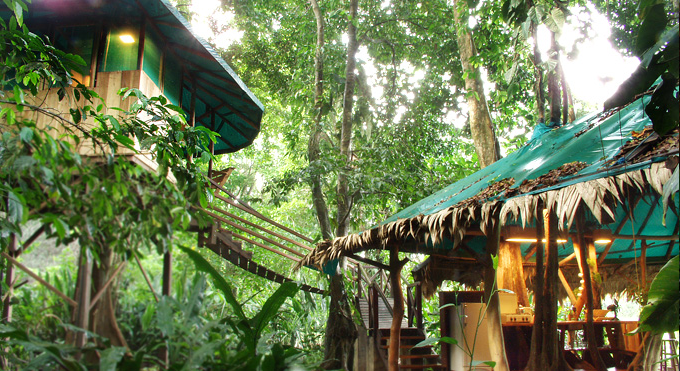 The Tree House Lodge Costa Rica