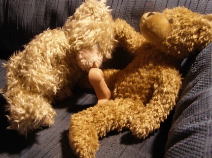 teddy bear with dick