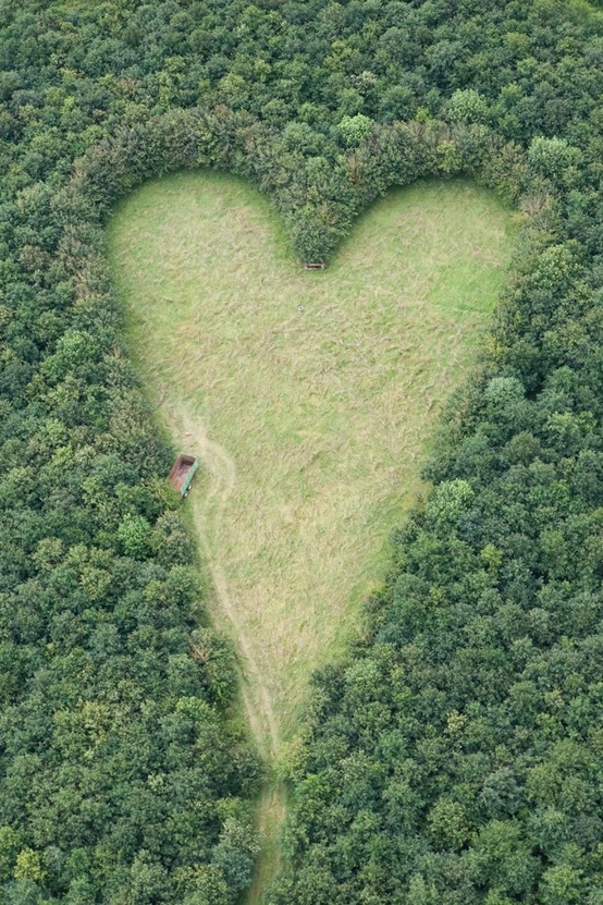 heart shaped meadow travel