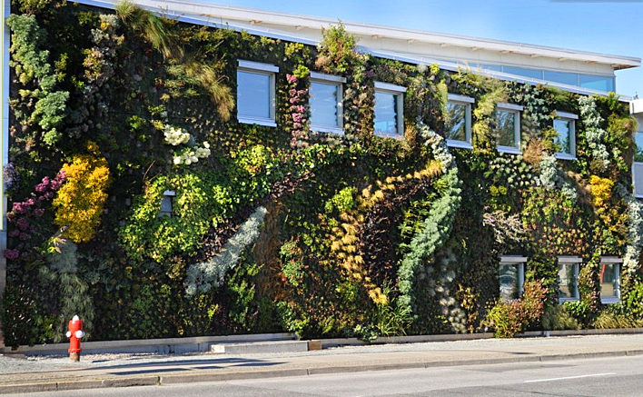 semiawahoo public library living wall garden