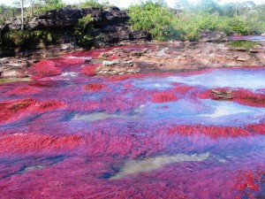 River of five colors, colombia