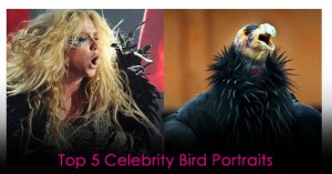 celebrities as birds