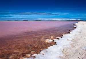 Pink Lake Retba