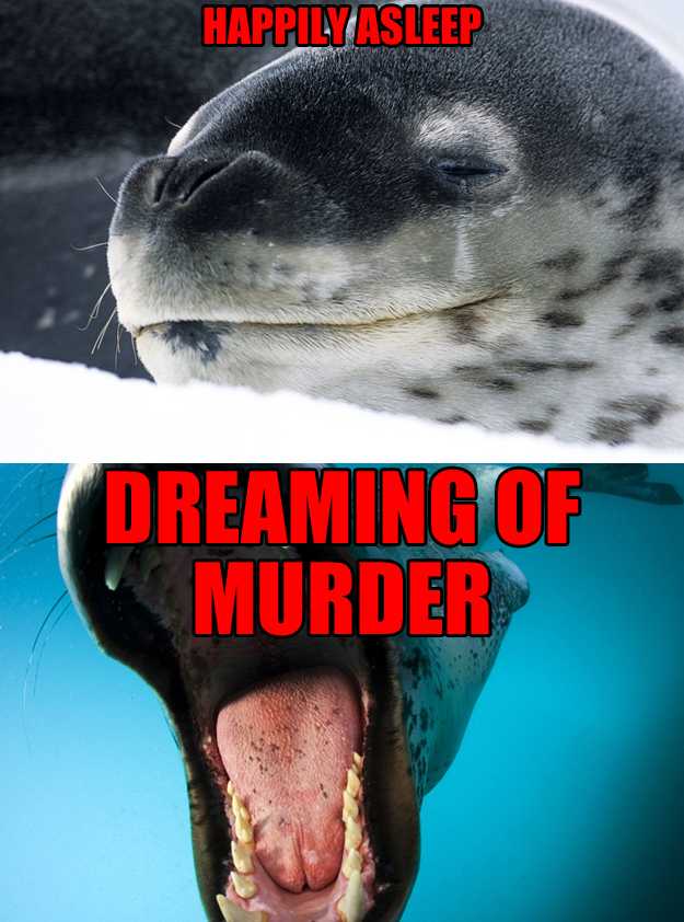 cute, deadly animals | The Luxury Spot cute, deadly animals | The Luxury Spot