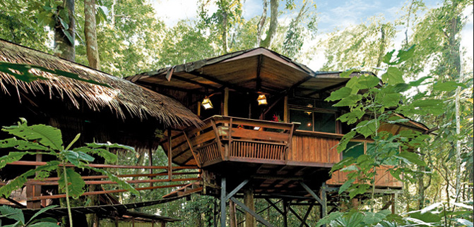 tree house lodge, costa rica