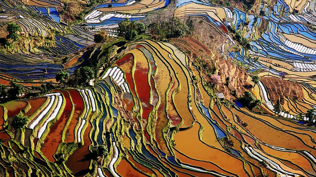 yuanyang rice fields, china