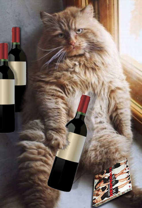 wine cat
