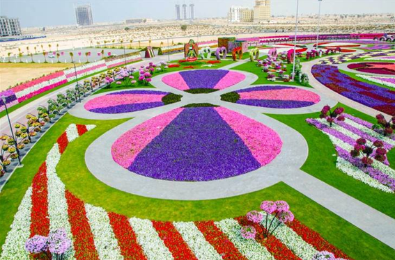 miracle garden, dubai