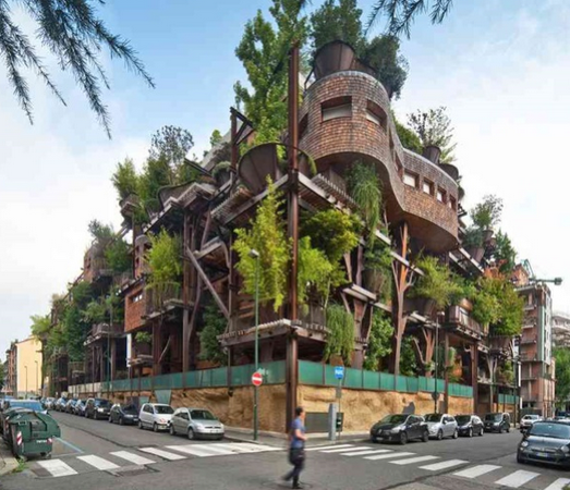 Tree House Apartments