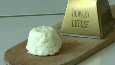 donkey cheese