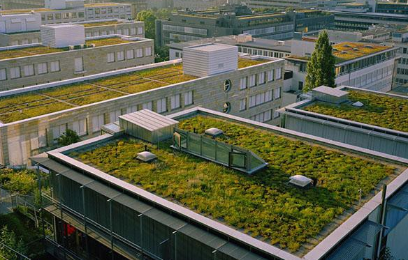 green rooftops in france