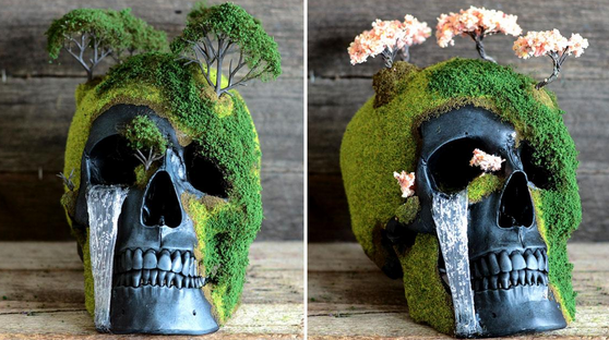 bonsai skulls
