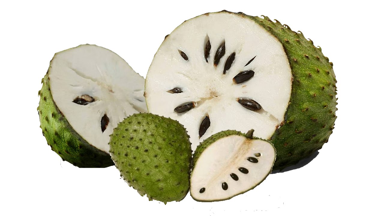 9 Health Benefits Of Soursop The Luxury Spot