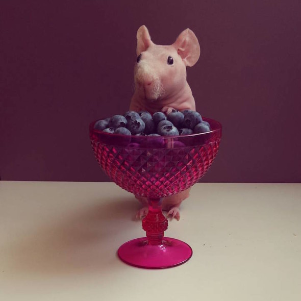 "Blueberries are great for just like, everything. They're basically how I stay energized and gorj on long shoots."