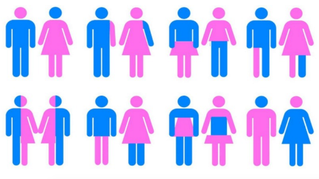 New York Just Released a List of 31 Official Genders | The Luxury Spot