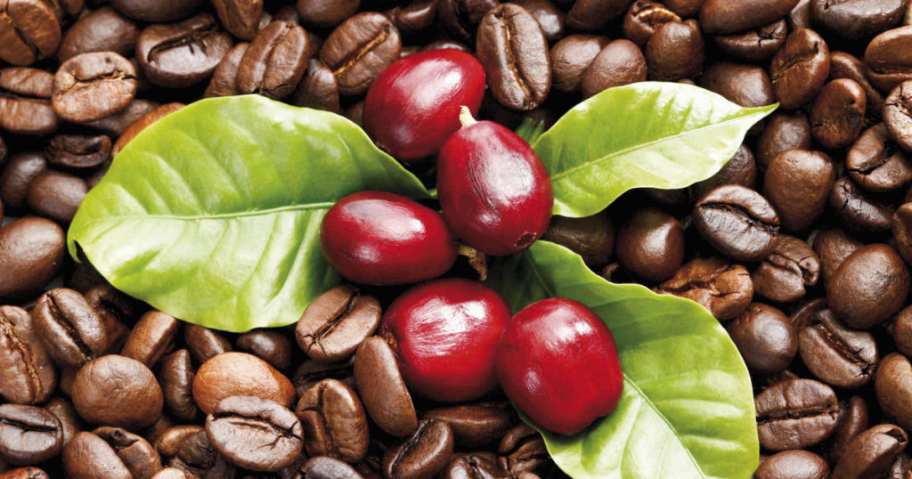 4 Reasons to Love Coffee Fruit | The Luxury Spot