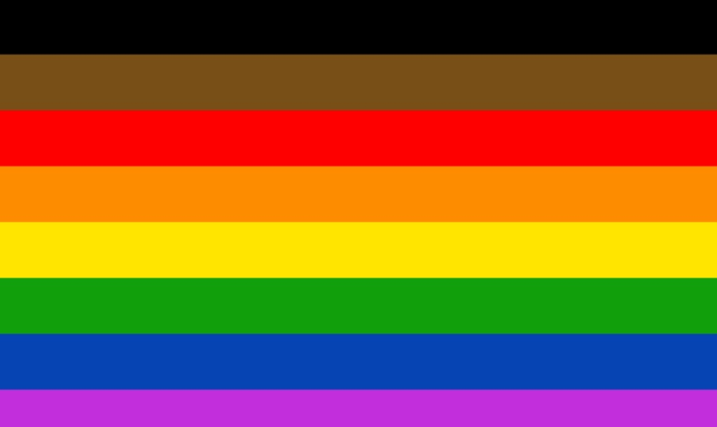 do poepl like the new poc gay flag