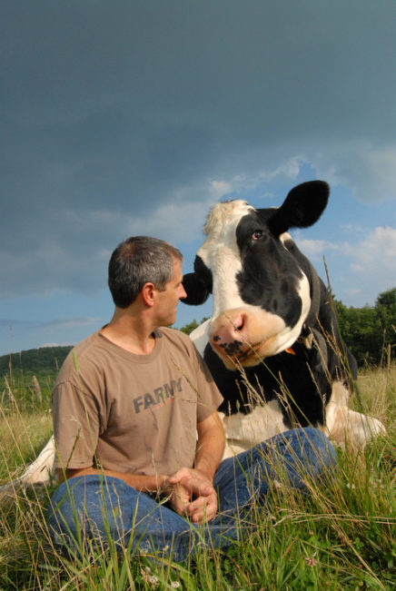farm sanctuary cow cuddling