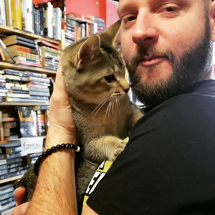 cat cuddles