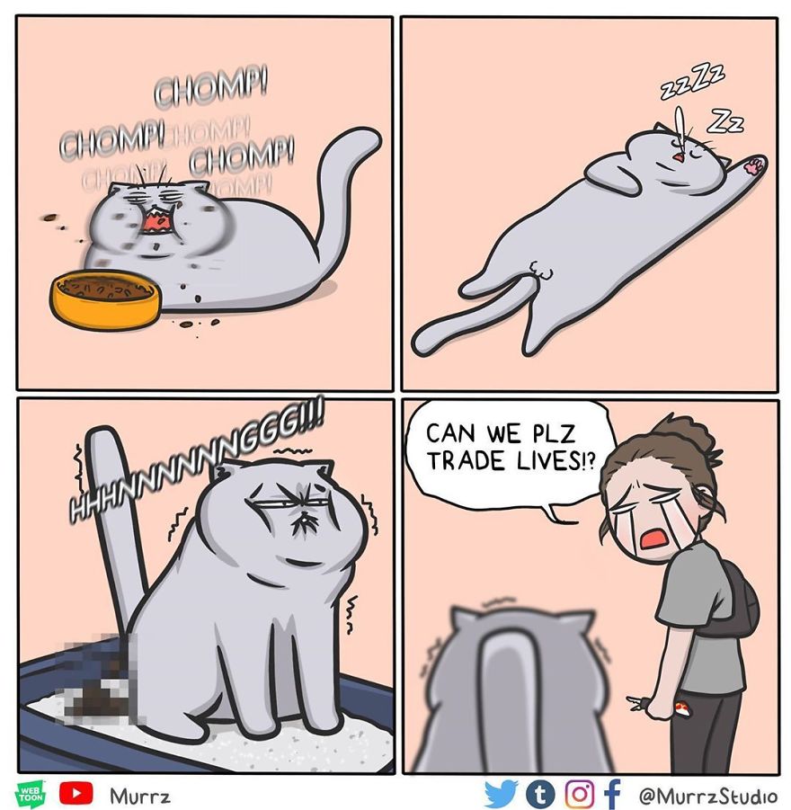 women's reality