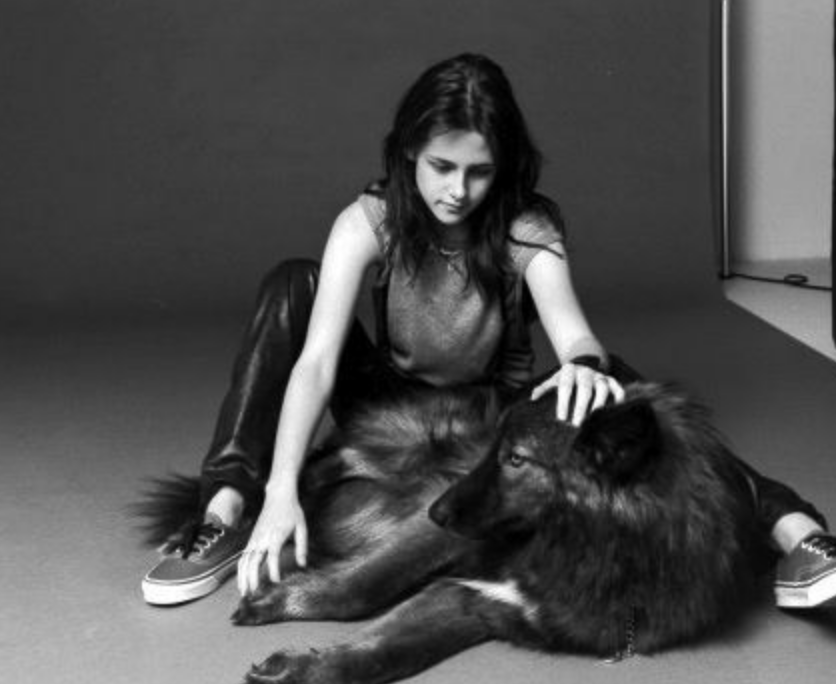 Kristen Stewart pet wolf dog, weird celebrity pets