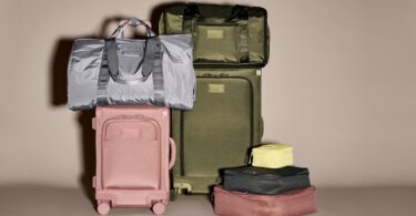 dagne dover luggage collection 2024