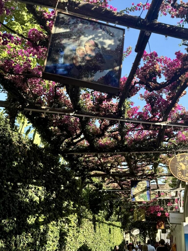 positano beach, pink flower covered walkway through the village of positano