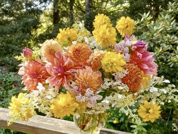 dahlia varieties, dahlia bouquets peach pink coral and white blooms