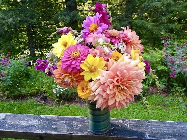 dahlia varieties, dahlia bouquets with coral and pink peach hues in starbust shape