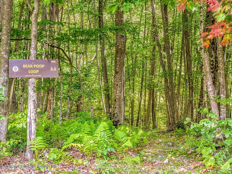 shandaken ny estate set on 35 private acres overlooking the catskill mountains, catskills facing the forest