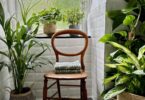 best indoor house plants