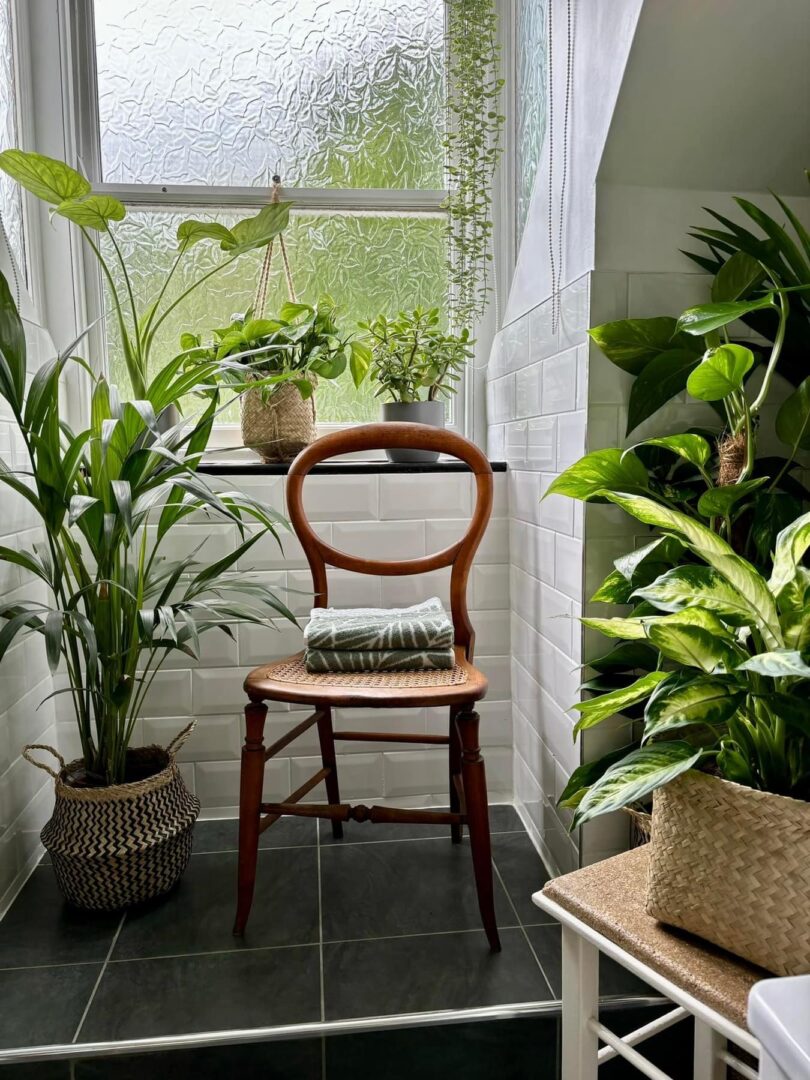 best indoor house plants