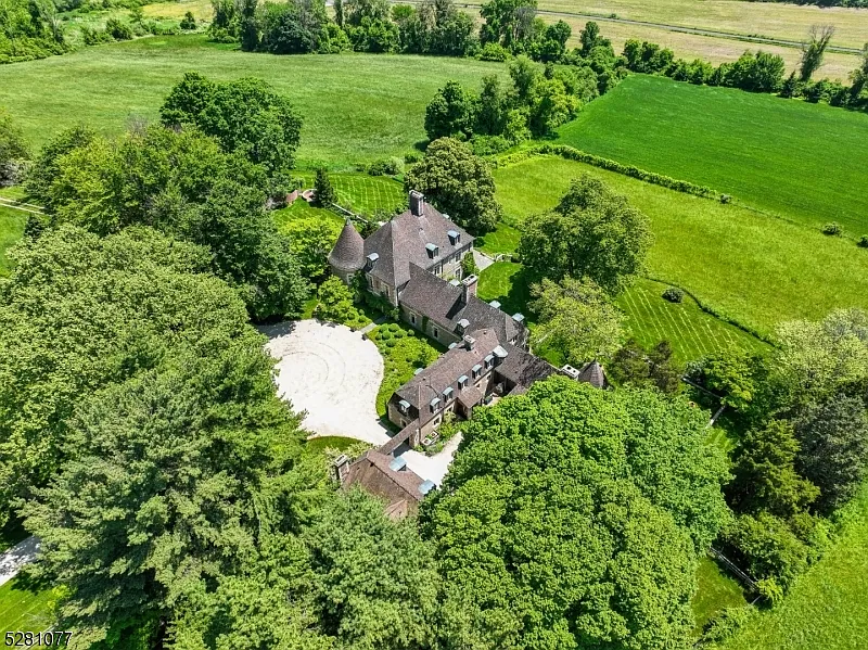 massive NJ castle in chester township listed for $4 million, exterior with lush green forests