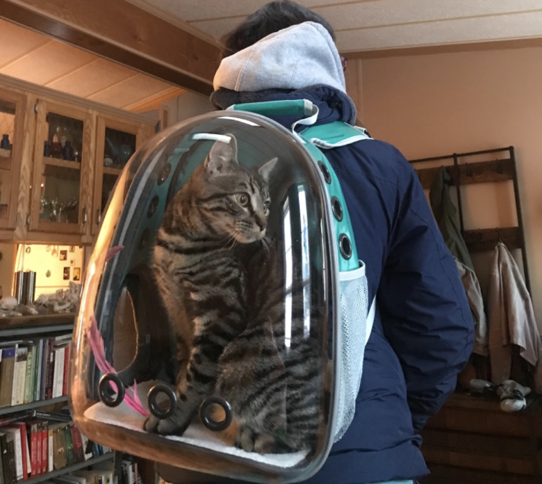 cat carrier backback with clear hard shell, best cat gifts for cat lovers